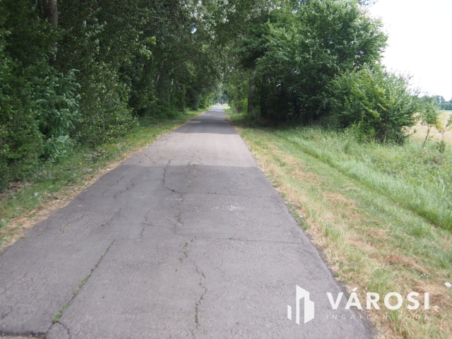 Iparterület Szeged és Vásárhely között, a Tisza hídnál!