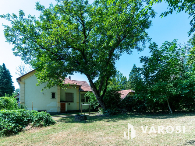 Patinás Villa Fonyódon a Balaton közelében