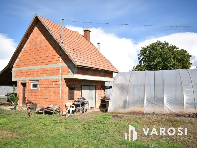 Kiváló lehetősség termelőknek!