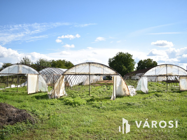 Kiváló lehetősség termelőknek!