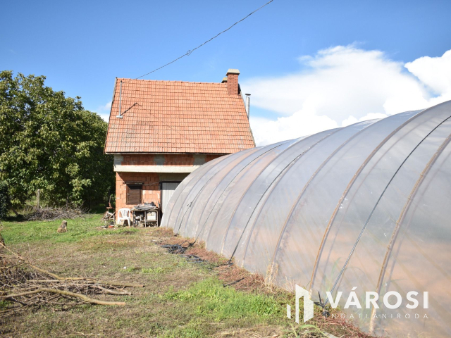 Kiváló lehetősség termelőknek!