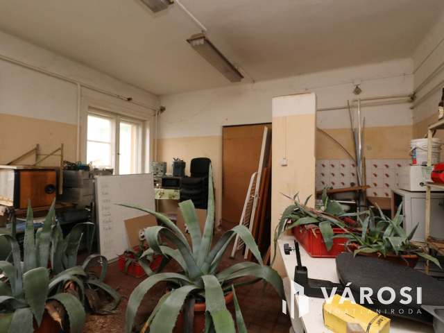 Békéssámsoni major