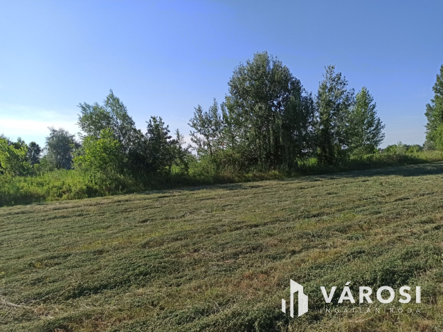 Turán 6060nm-es külterületi telek