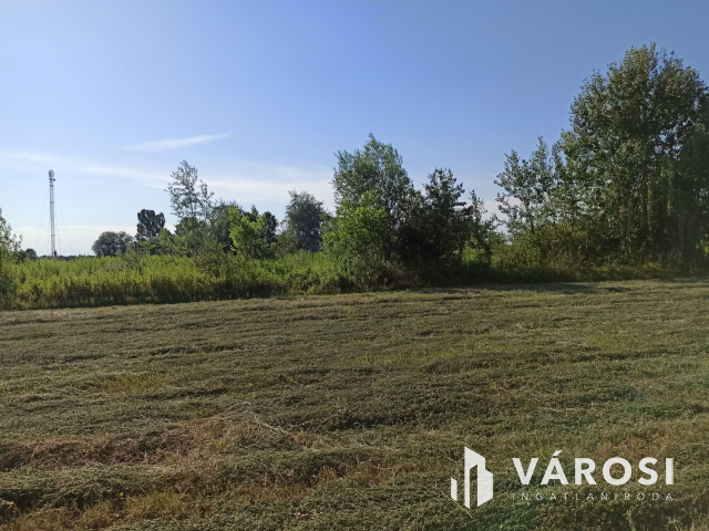 Turán 6060nm-es külterületi telek