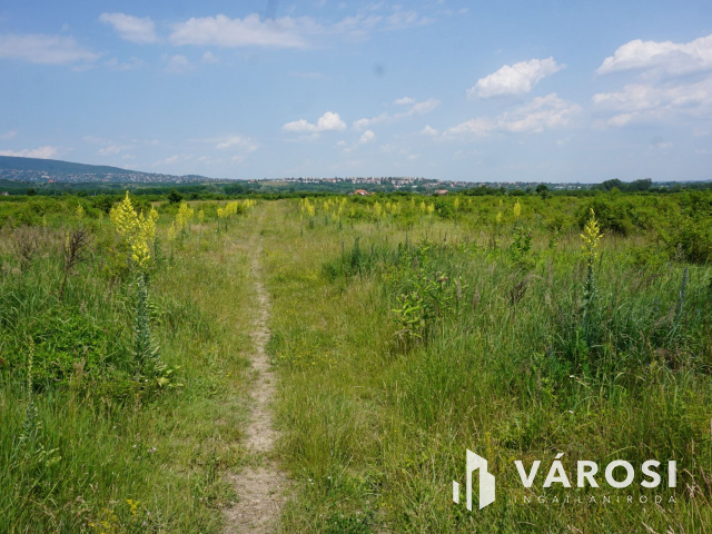 Új parcellázású, 2000nm-es telek Pomázon!