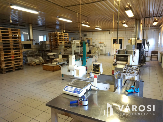 Élelmiszer feldolgozó ár alatt kiadó!