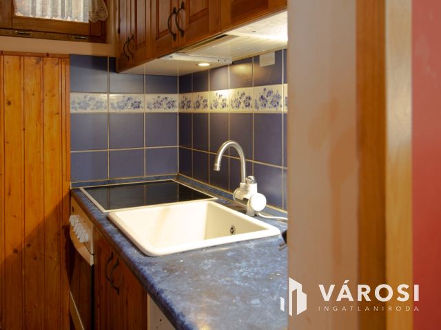 Vízparti nyaraló eladó, magán és bérleti célra!