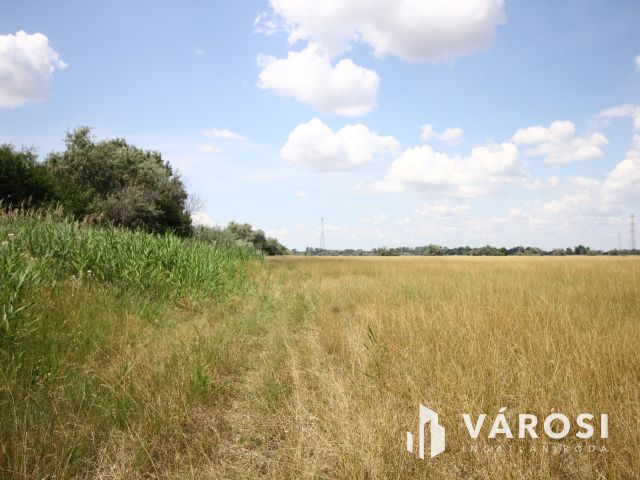 Nomád állattartásra alkalmas