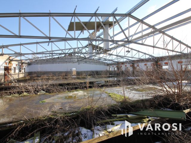 Eladó Major vásárhely határában