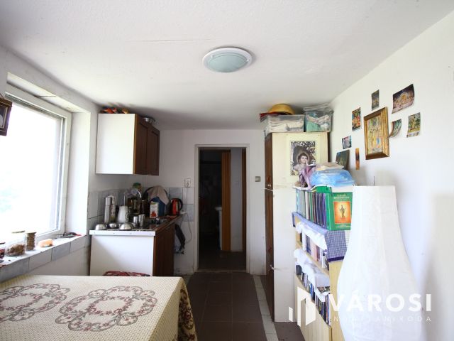 Madárcsicsergős tanya, nagy telekkel