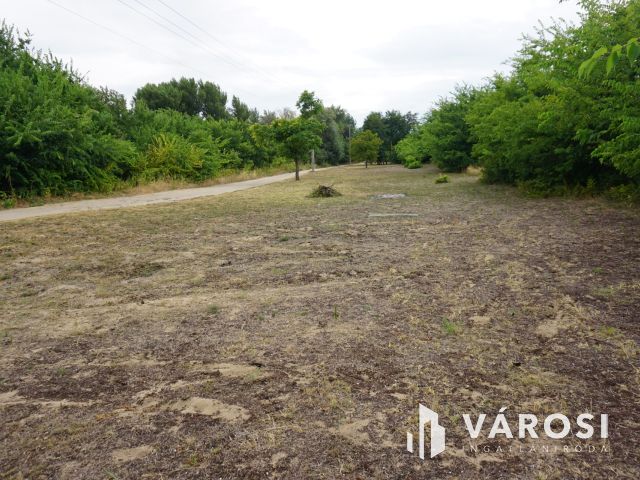 Duplatelek Turán ár alatt ELADÓ!