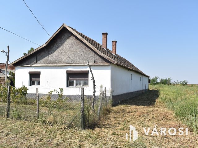 Minden egy helyen, egy igazi tanyán!