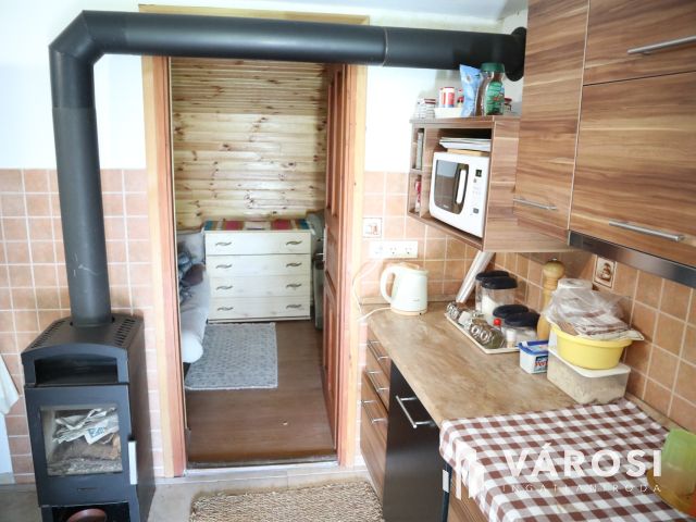 Szatymazi családi ház erdővel!