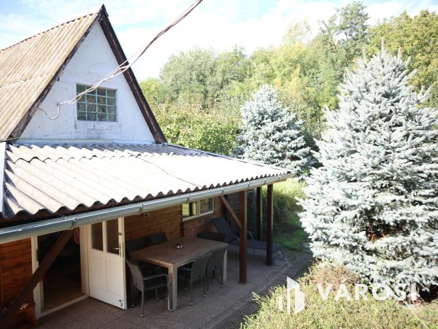 Szatymazi családi ház erdővel!