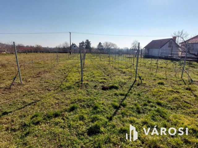 Megosztva 2 ház építésre is alkalmas zártkert Kővágóörsön