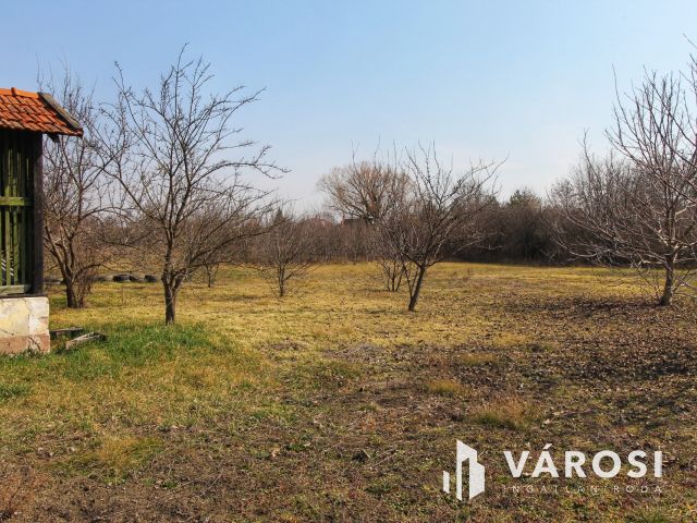 Eladó tágas családi ház Sarkadon