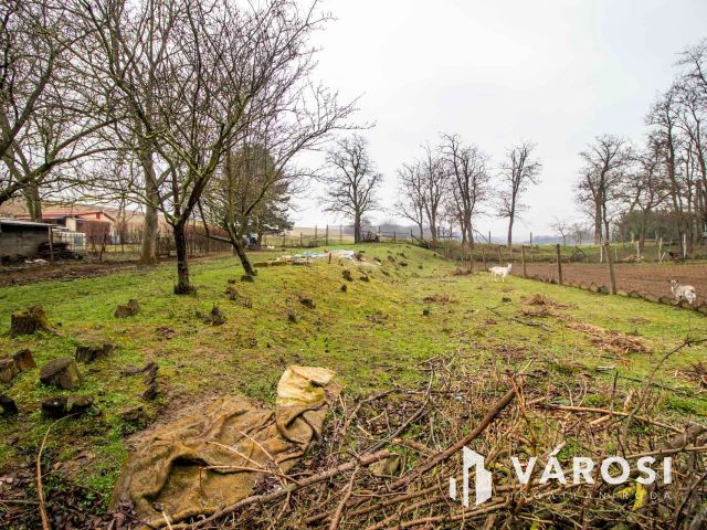 Pihenésre, gazdálkodásra, ottlakásra alkalmas zártkert