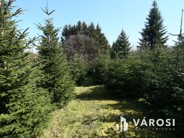 Nagykanizsa közelében csodálatos birtok, lakható épülettel