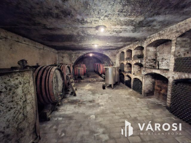 Saját rezsiköltségét megtermelő Balatoni panorámás nyaraló