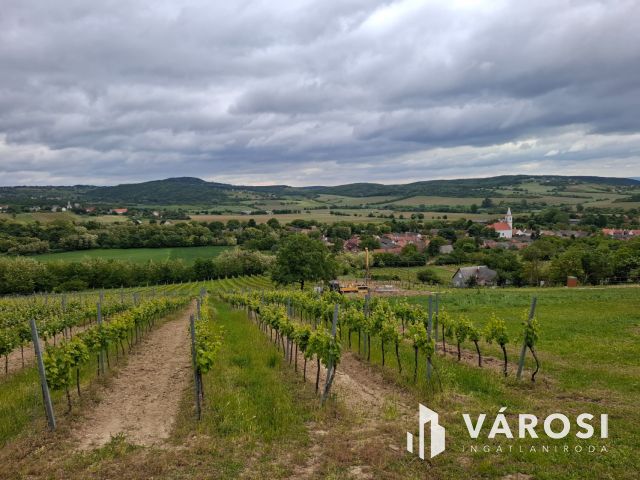 Saját rezsiköltségét megtermelő Balatoni panorámás nyaraló