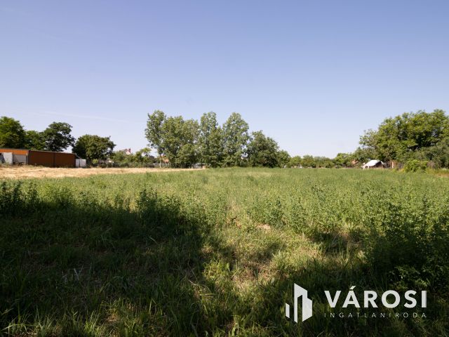 Gyula, Ajtósfalván eladó nagy telek