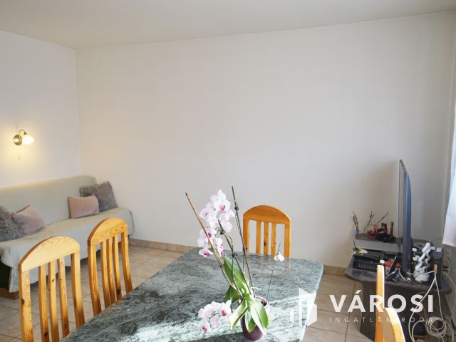 Nagy telkes, szuterénes családi ház eladó