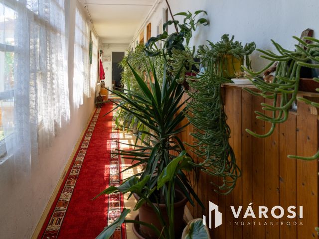 Családi ház Jaminában, nappali+3 szobával,nagy kerttel