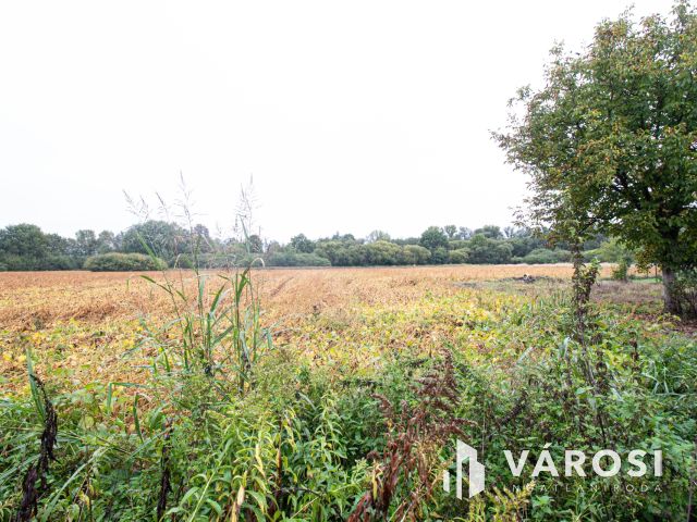 Remek lehetőség a szlovén határ közelében