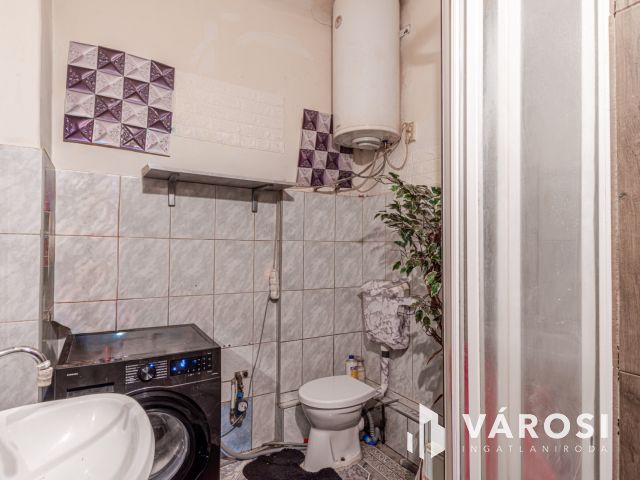 A tavasz hírnöke  - tégla lakás -