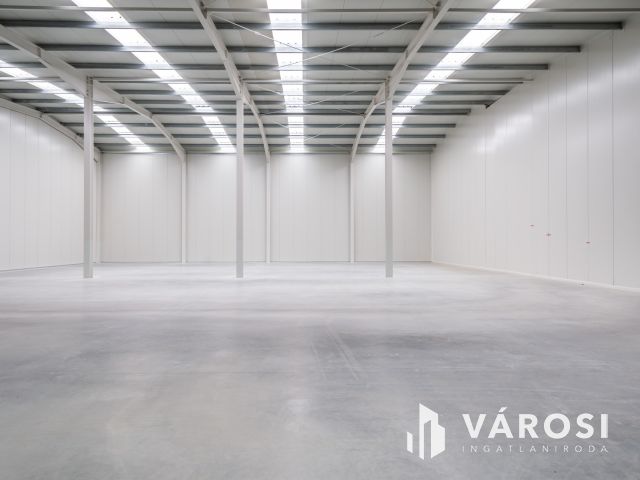Új, eladó raktár Alsónémedin, ami 2 kapun rakodható