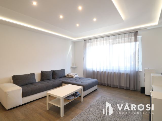 Festő utcai modern, tágas otthon.