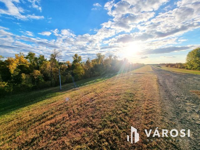 Vízpart közeli telken, kiváló szerkezetű tégla ház eladó