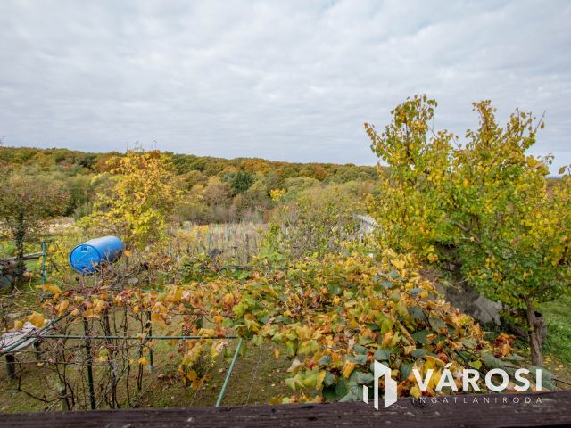 Eladó Lenti hegyi ingatlan, csodás területtel együtt.