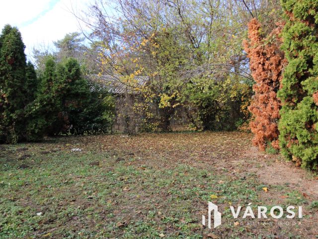 Befektetőknek is ajánlom! Bevezetett üzlet eladó!