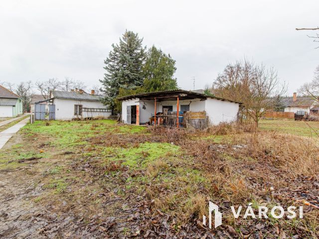 Méretes telek a füvészkert közelében
