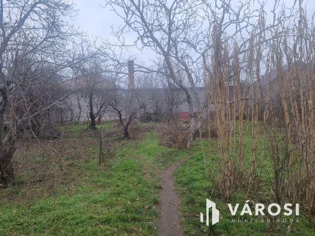 Hatalmas telek Vecsés közkedvelt részén!