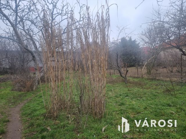 Hatalmas telek Vecsés közkedvelt részén!