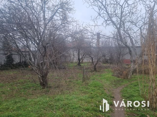 Hatalmas telek Vecsés közkedvelt részén!