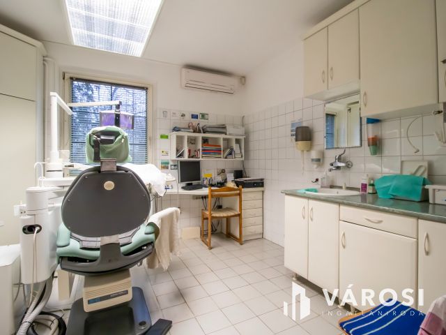 Családi ház nagycsaládnak, ingatlanfejlesztőknek