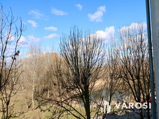 Tóparti lakás Vizivárosban, amely befektetésnek is tökéletes