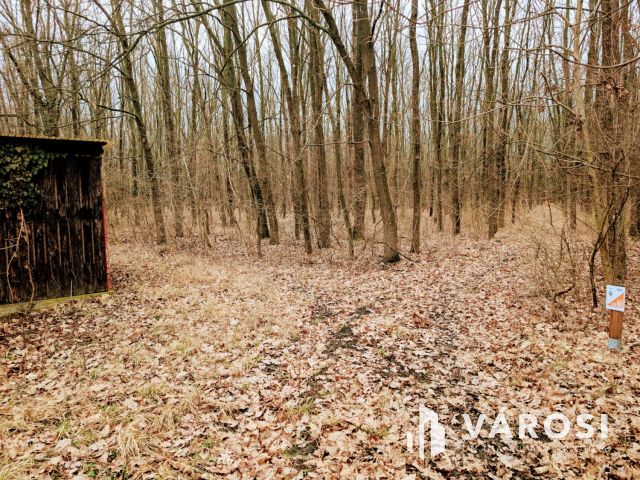 Közműves körbekerített telek Szanazugban!