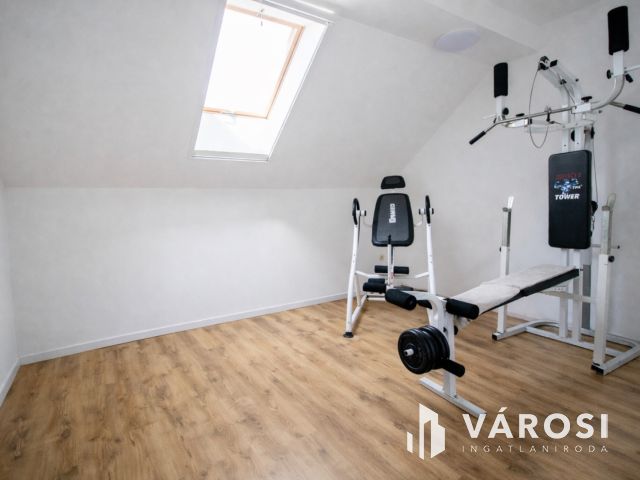 Modern családi otthon és kész üzemi bázis