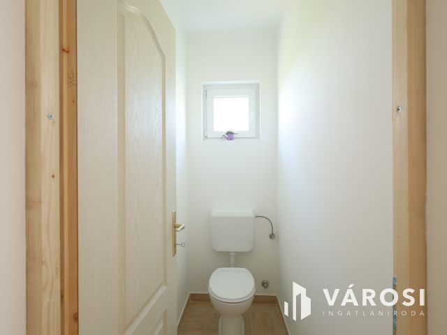 Napfény a város szélén.