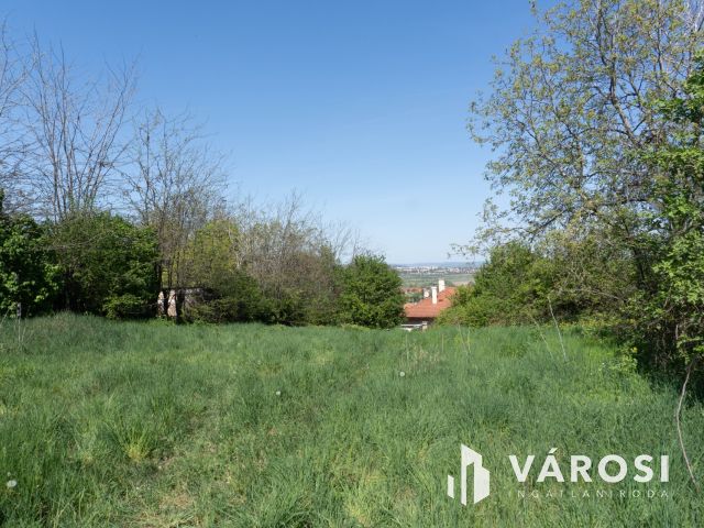 Panorámás telek Pomázon