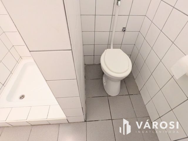 Belvárosi garzonlakás kertkapcsolattal