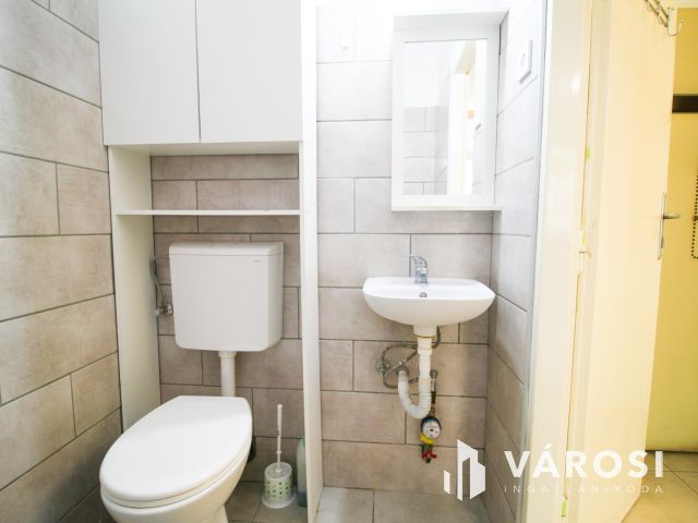 Parkra néző garzonlakás kiadó Óbudán