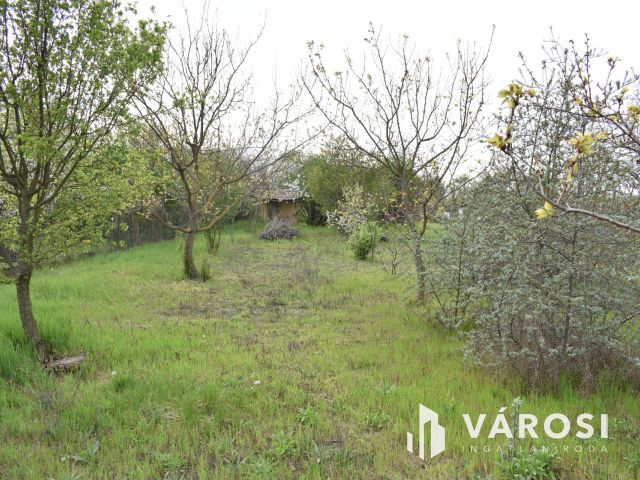 1179 m2 zártkert eladó Gyulán!