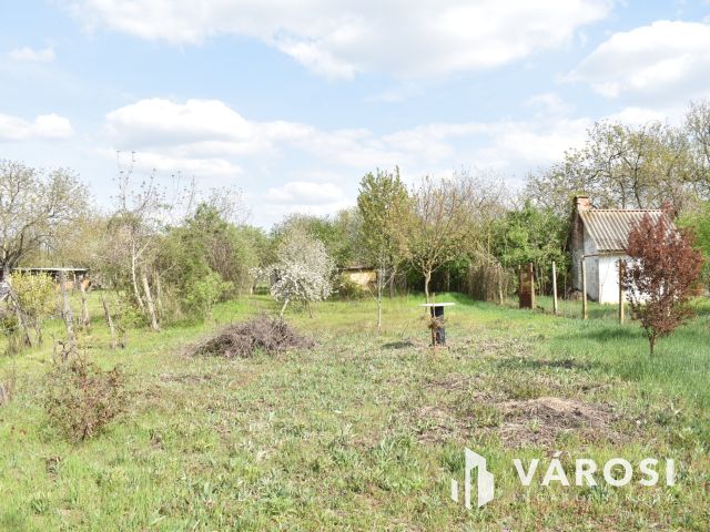 1179 m2 zártkert eladó Gyulán!