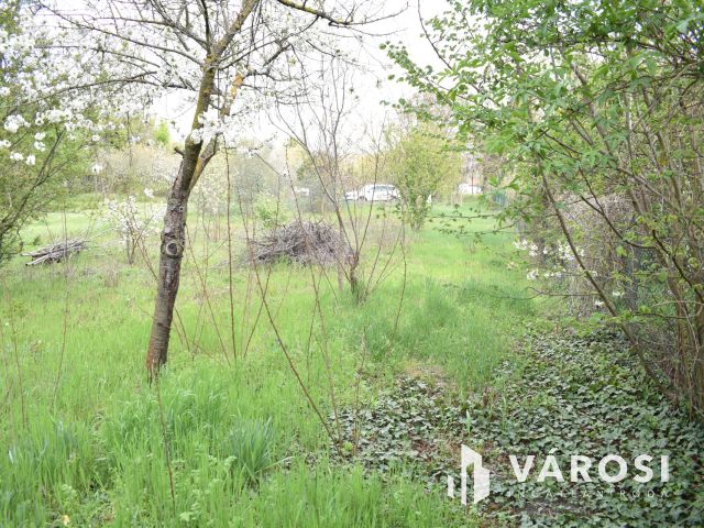 1179 m2 zártkert eladó Gyulán!