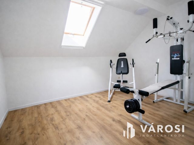 Modern családi otthon és kész üzemi bázis Nagyszénáson